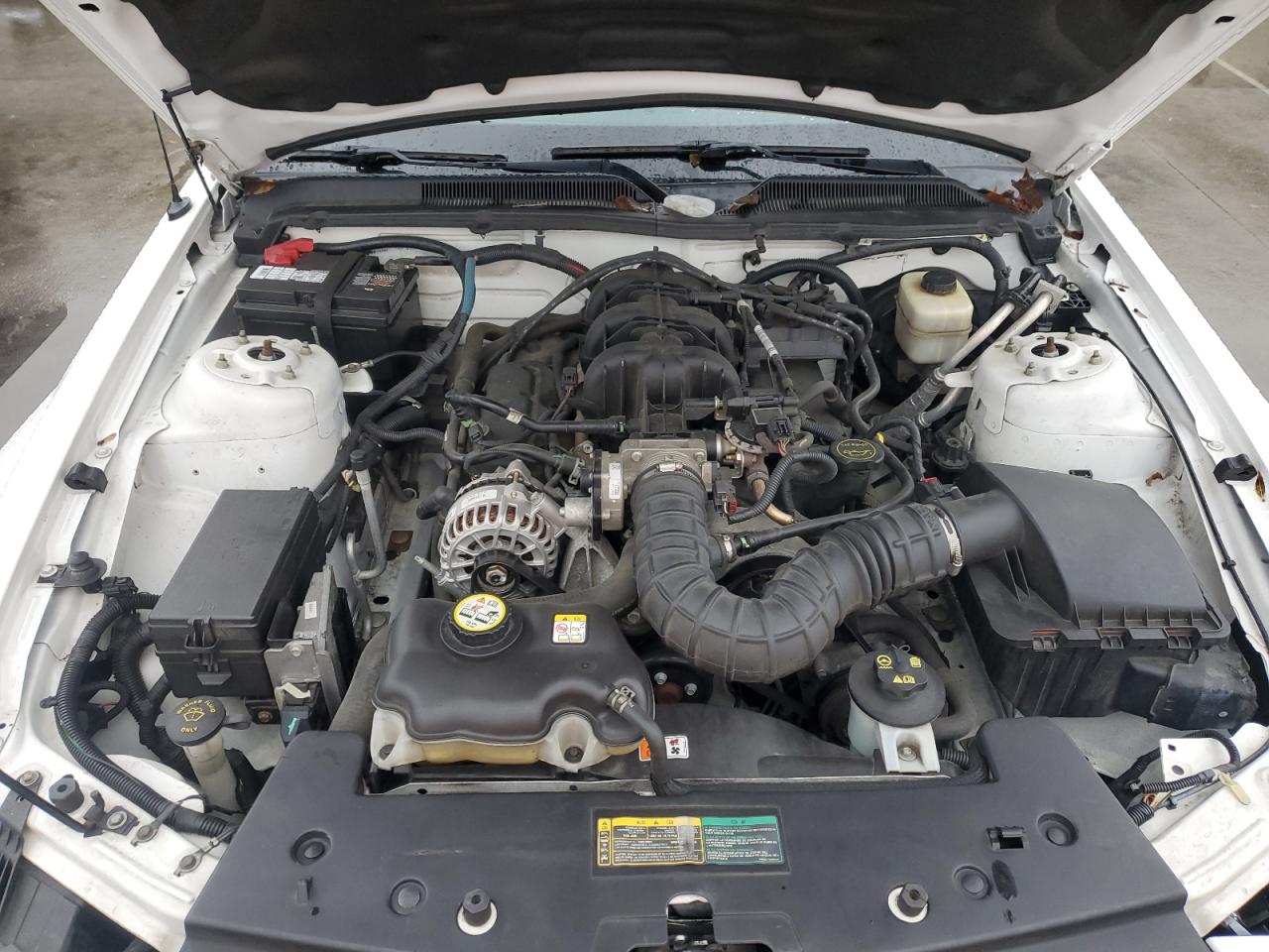 2007 Ford Mustang VIN: 1ZVHT84N075363018 Lot: 90614595