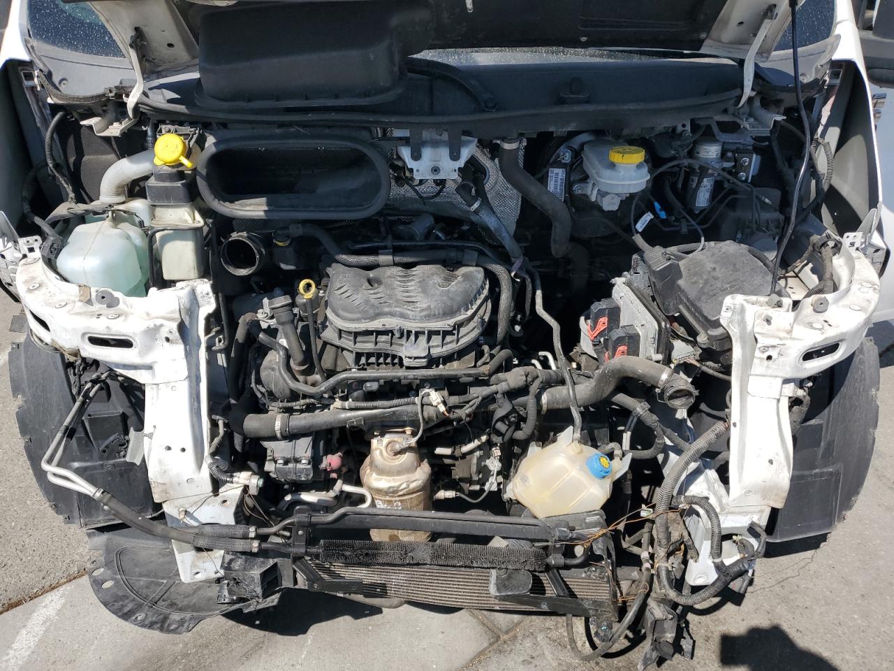 2019 Ram Promaster 1500 1500 Standard VIN: 3C6TRVAG4KE505780 Lot: 84896145
