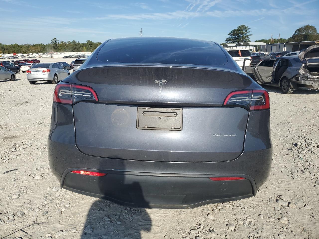 2023 Tesla Model Y VIN: 7SAYGDEE3PF870317 Lot: 86729225