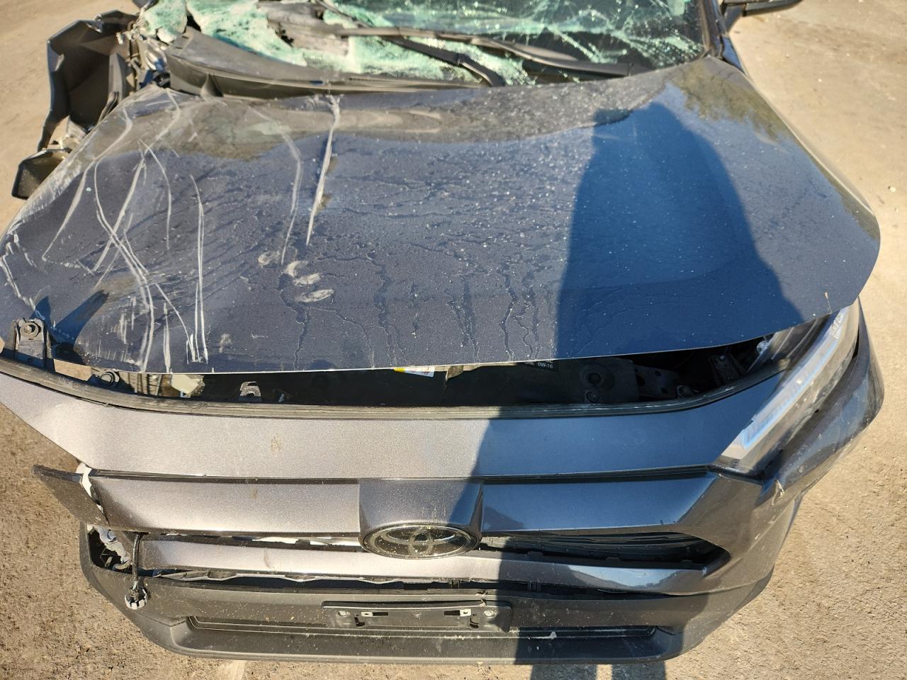 2025 Toyota Rav4 Xle VIN: 2T3P1RFV1SC504754 Lot: 94737415