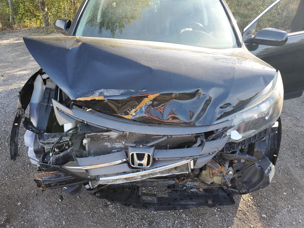 2013 Honda Cr-V Exl VIN: 2HKRM4H74DH102141 Lot: 71571125