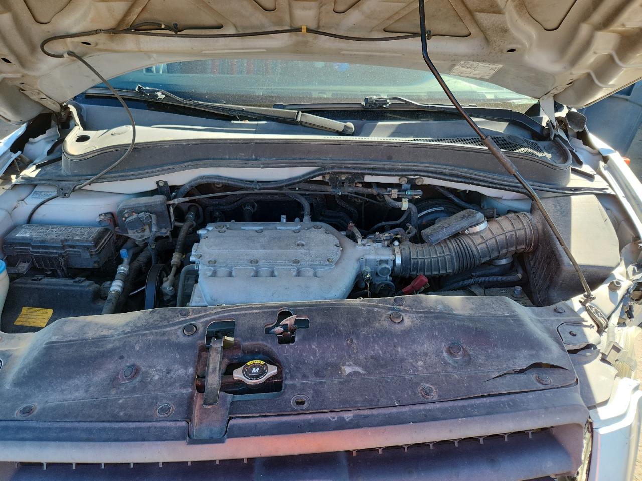 2005 Honda Pilot Exl VIN: 5FNYF18605B047960 Lot: 85191565