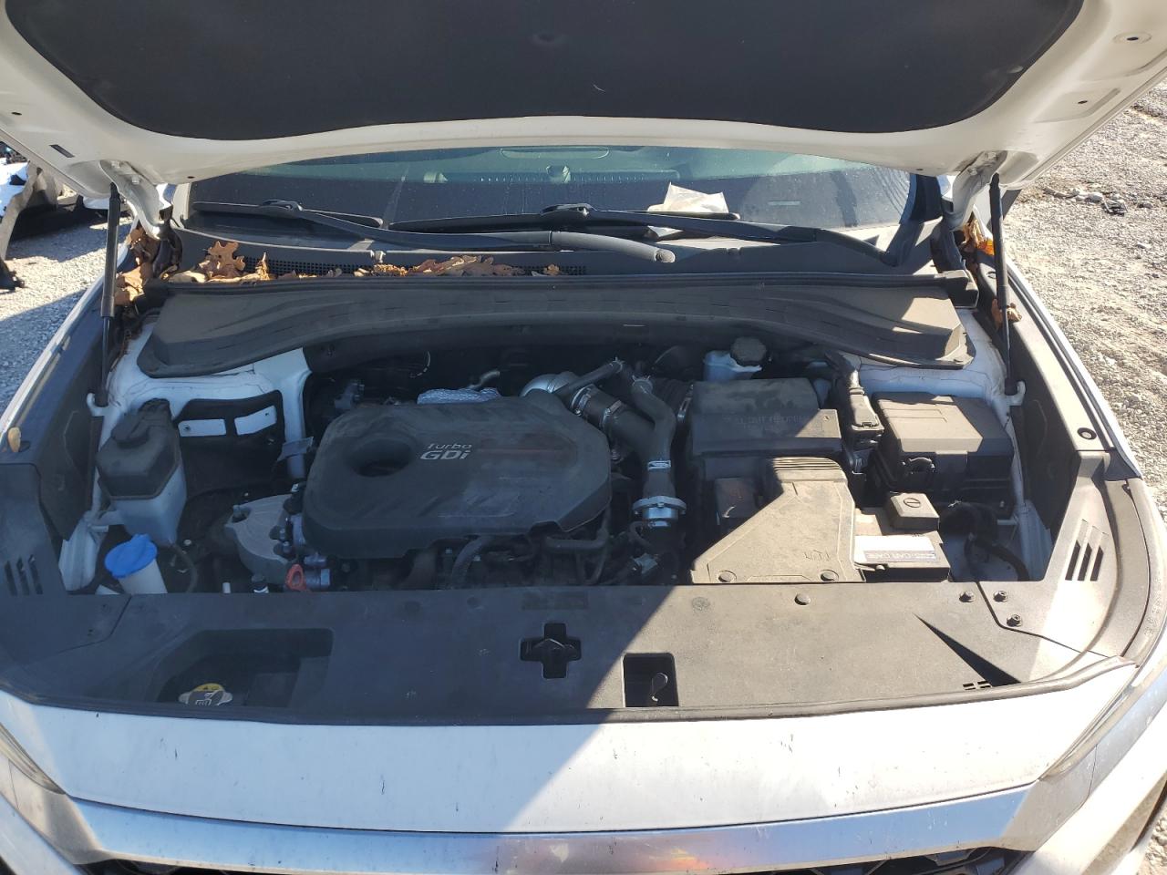 2019 Hyundai Santa Fe Limited VIN: 5NMS53AA0KH048376 Lot: 86338925