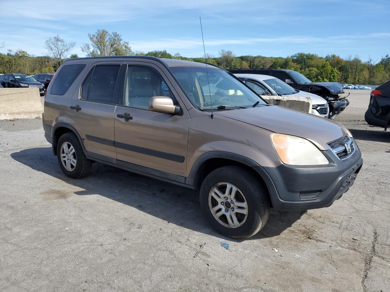 2004 Honda Cr-V Ex VIN: JHLRD78824C022880 Lot: 85090055