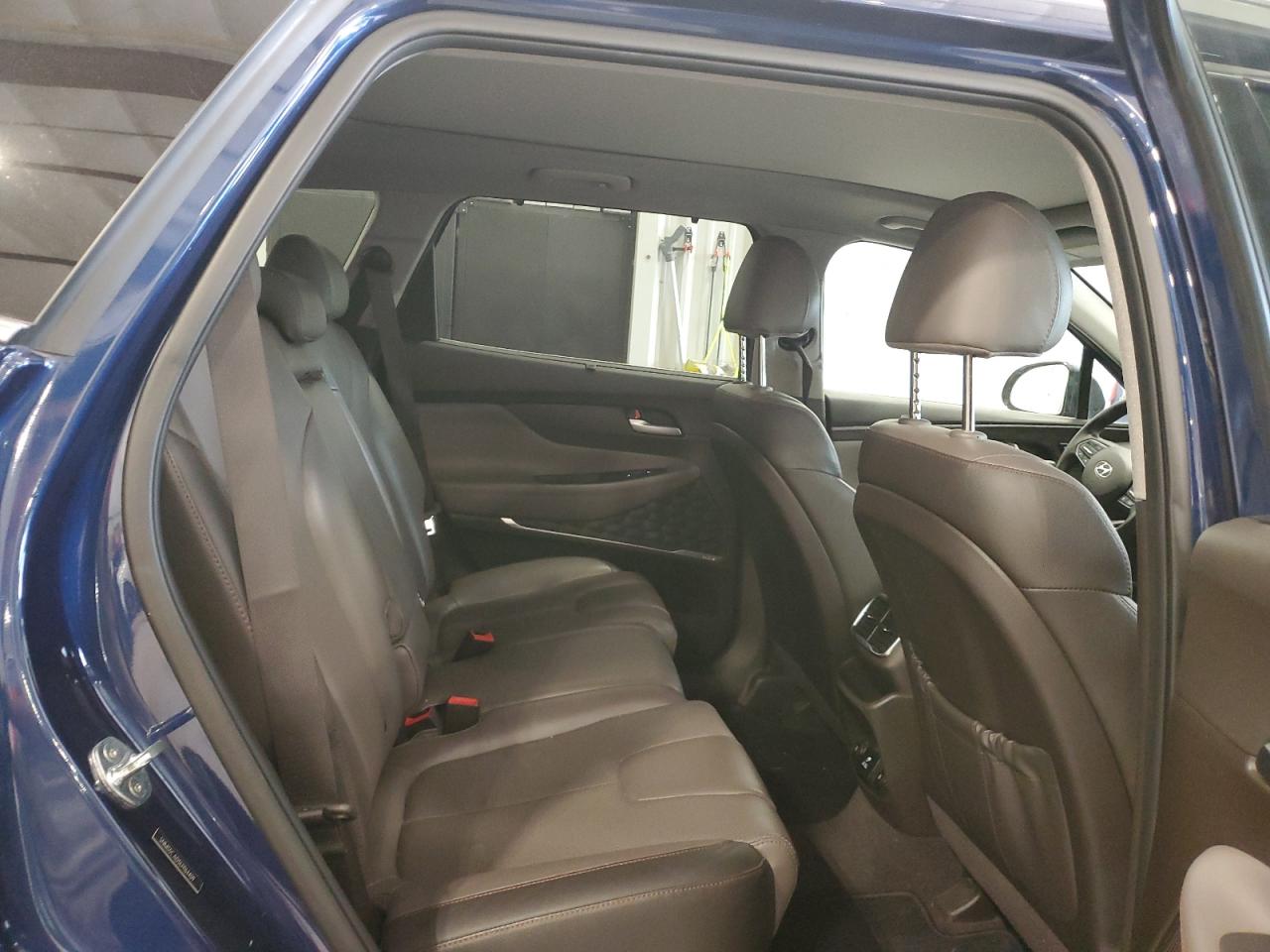 2020 Hyundai Santa Fe Limited VIN: 5NMS5CAD5LH164409 Lot: 81909155