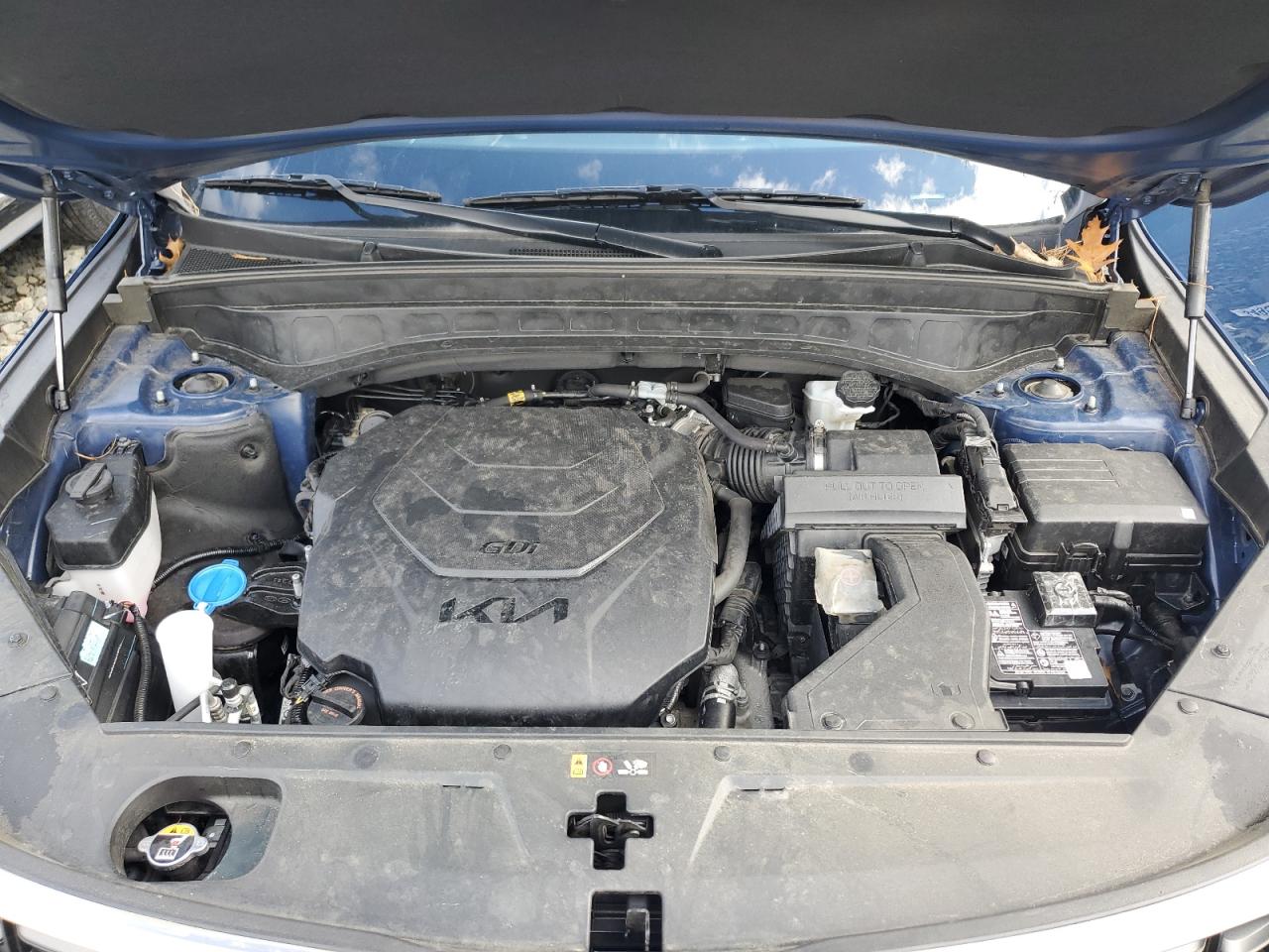 2024 Kia Telluride S VIN: 5XYP6DGCXRG448323 Lot: 85836425