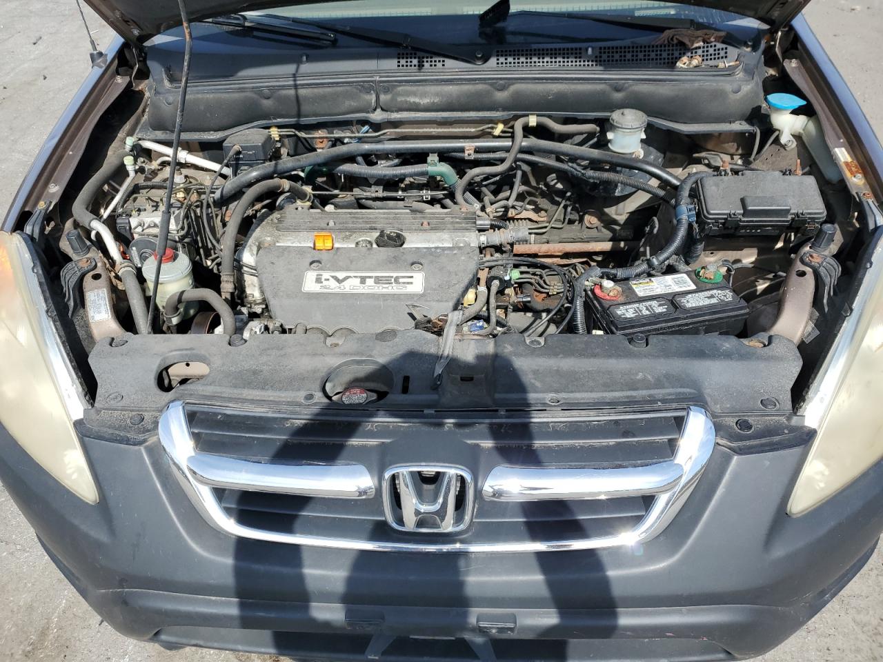 2004 Honda Cr-V Ex VIN: JHLRD78824C022880 Lot: 85090055