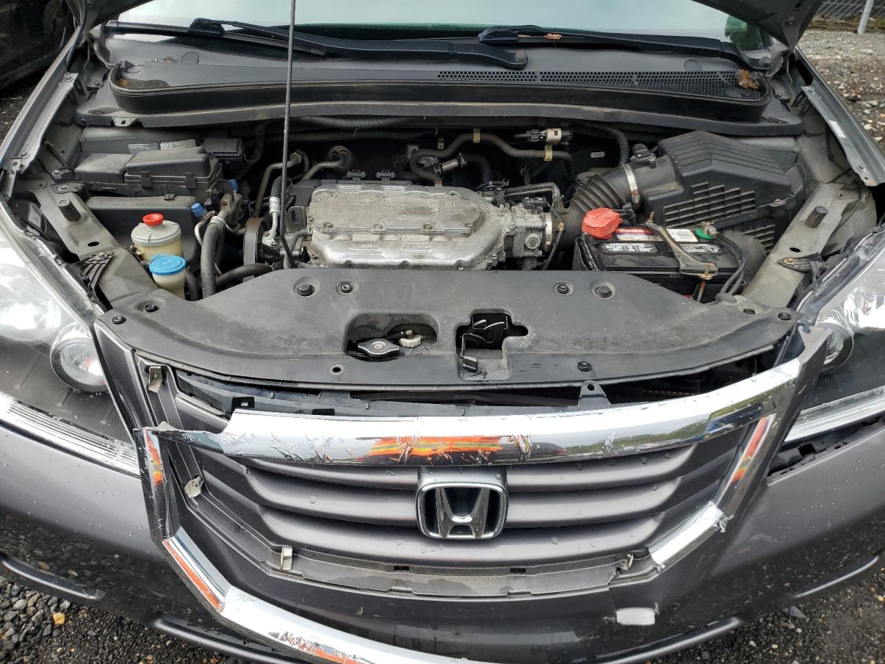 2009 Honda Odyssey Exl VIN: 5FNRL386X9B404835 Lot: 82290775