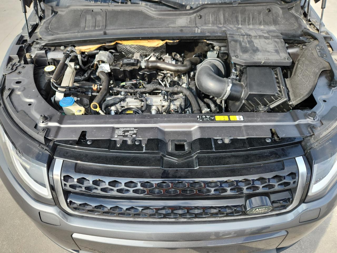 2019 Land Rover Range Rover Evoque Se VIN: SALVP2RX1KH341031 Lot: 89813585