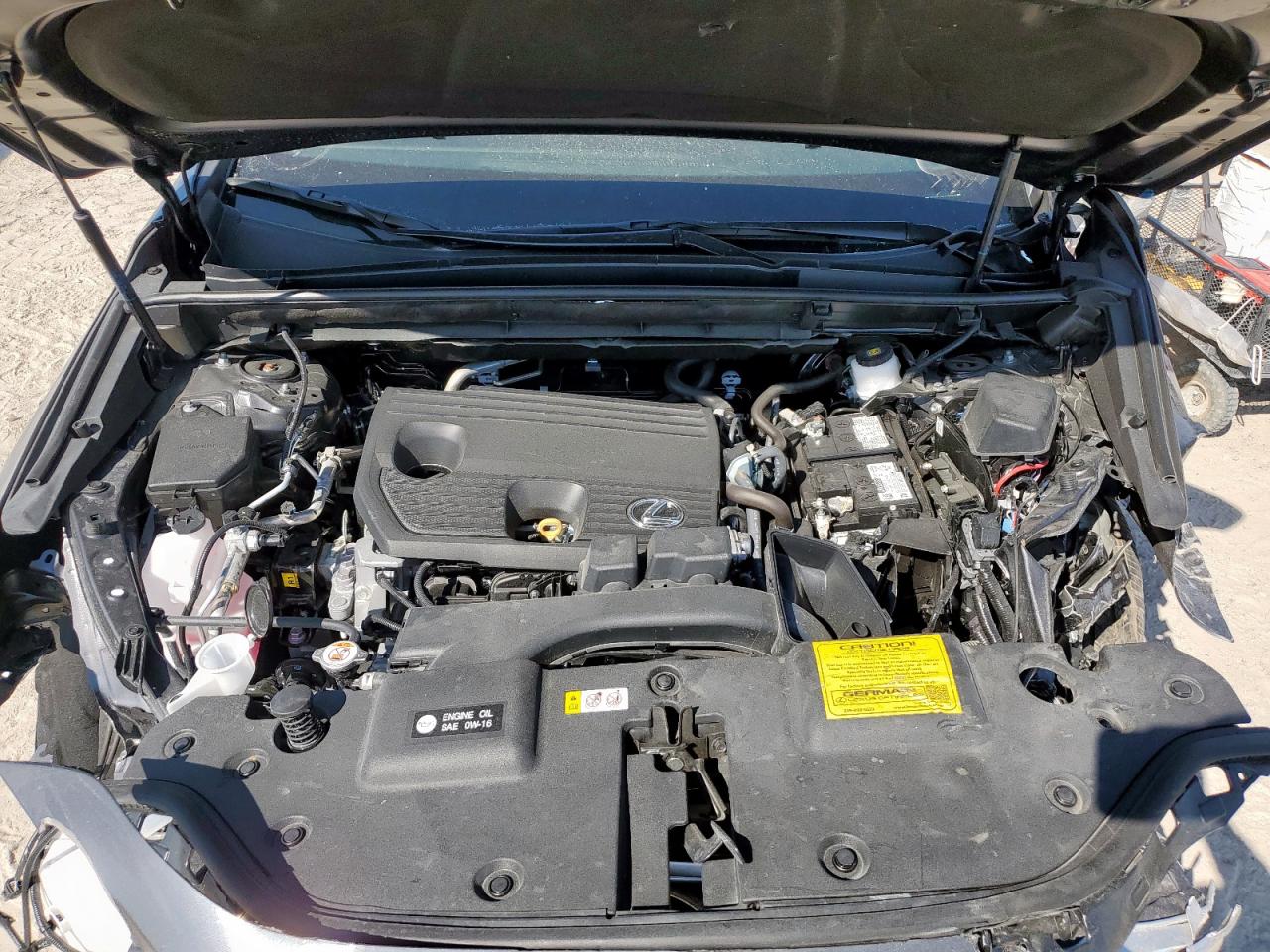 2025 Lexus Nx 250 Base VIN: 2T2ADCAZ1SC025498 Lot: 83834905