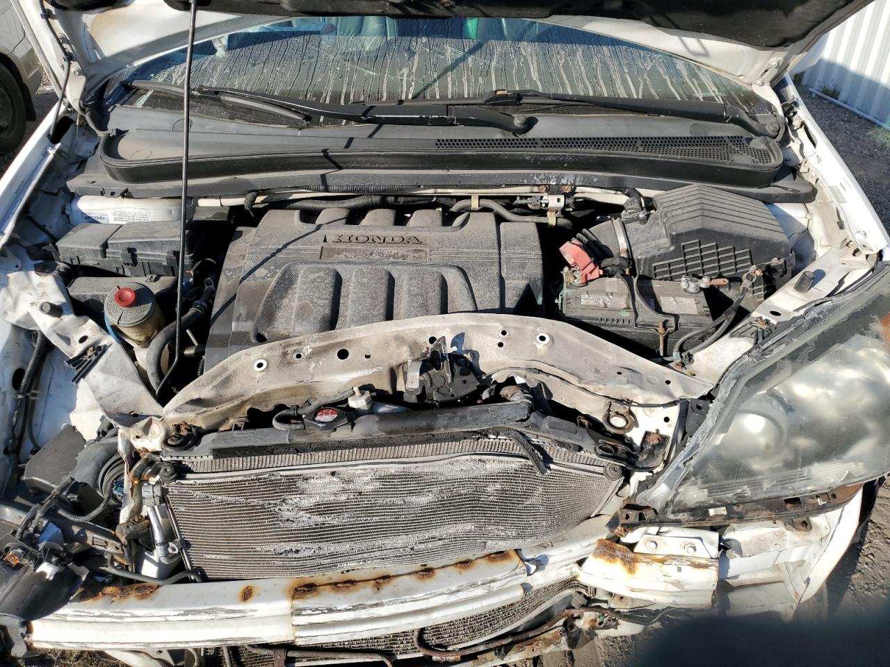 2010 Honda Odyssey Exl VIN: 5FNRL3H78AB507040 Lot: 84947515