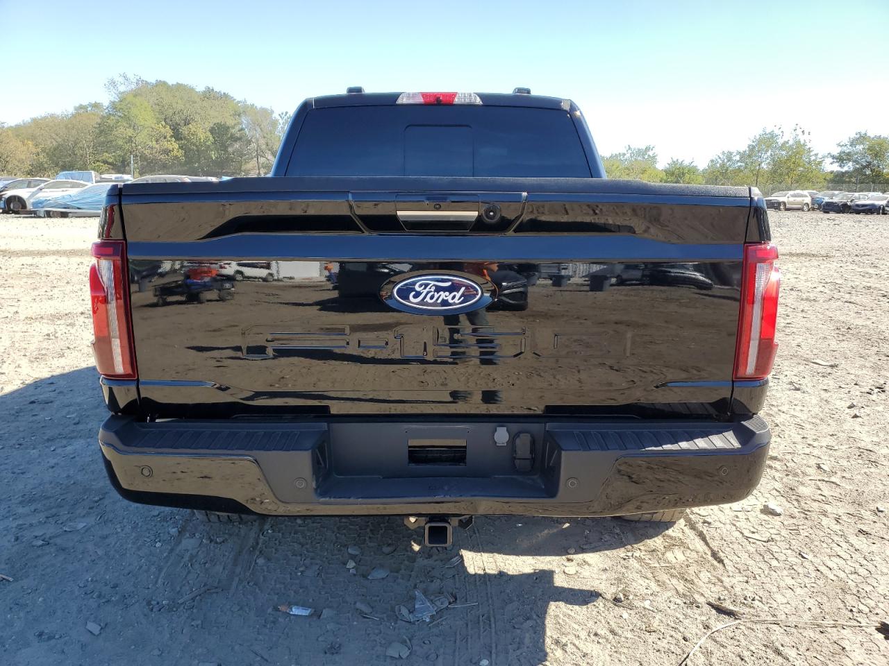 2024 Ford F150 Platinum VIN: 1FTFW7LD1RFA30974 Lot: 86878175