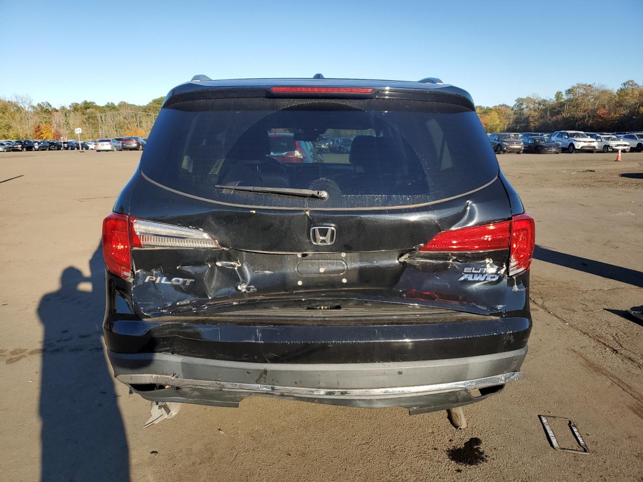 2018 Honda Pilot Elite VIN: 5FNYF6H07JB031032 Lot: 87092275