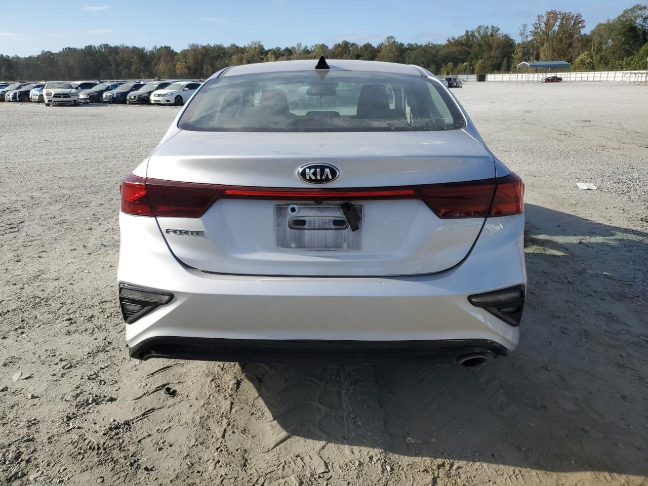 2020 Kia Forte Fe VIN: 3KPF24AD4LE234649 Lot: 84883415