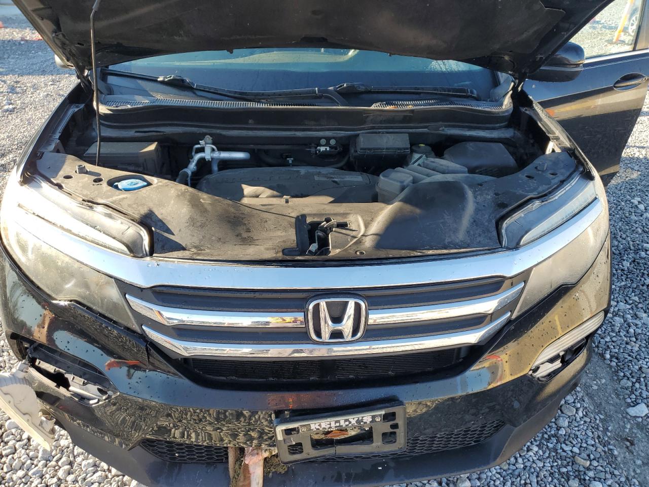 2016 Honda Pilot Exl VIN: 5FNYF6H88GB077628 Lot: 85821585