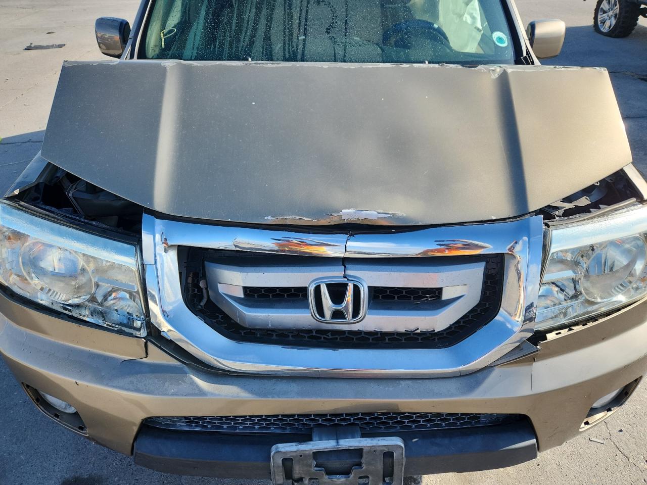 2009 Honda Pilot Exl VIN: 5FNYF38559B023923 Lot: 85298355