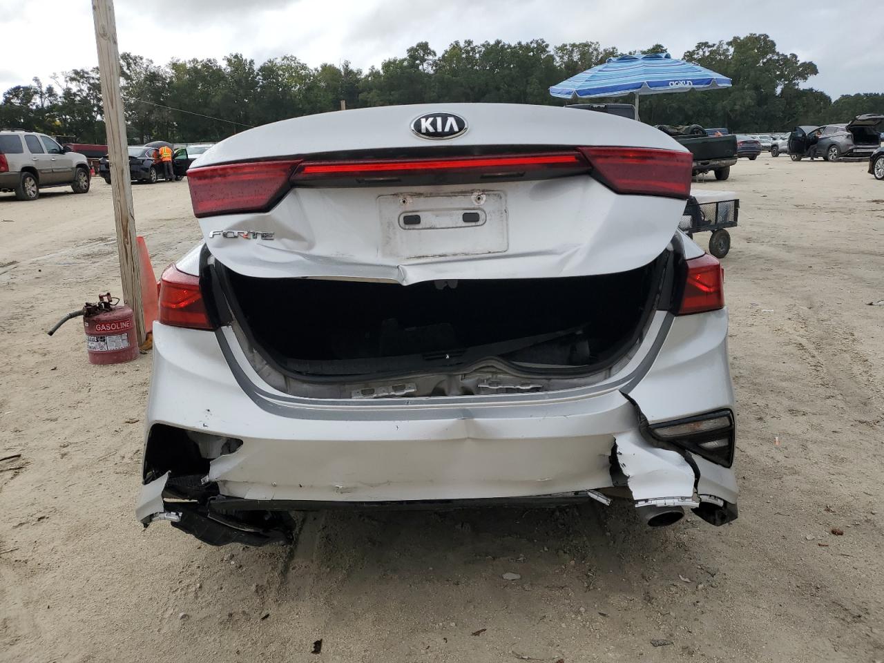 2020 Kia Forte Fe VIN: 3KPF24AD4LE220685 Lot: 82245575