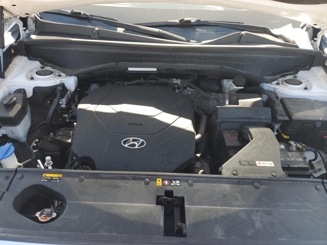 2020 Hyundai Palisade Limited VIN: KM8R5DHE1LU117062 Lot: 84648945