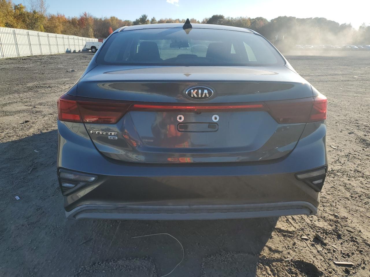 2020 Kia Forte Fe VIN: 3KPF24AD6LE174499 Lot: 87407825