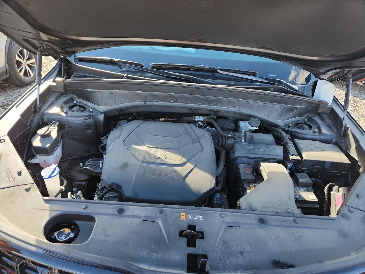 2024 Kia Telluride Sx VIN: 5XYP5DGCXRG452536 Lot: 85386255