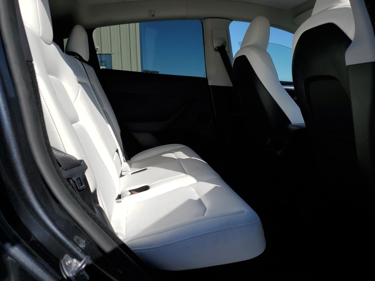 2024 Tesla Model Y VIN: 7SAYGDEF7RF064170 Lot: 90669795