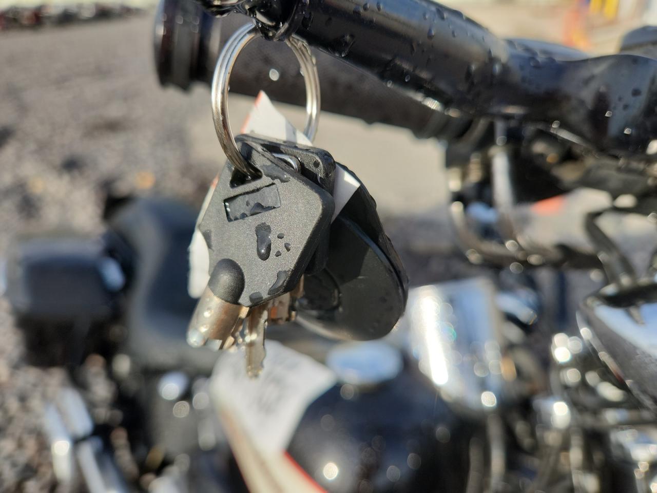 2006 Harley-Davidson Flsti California VIN: 1HD1JFB306Y026022 Lot: 84641765