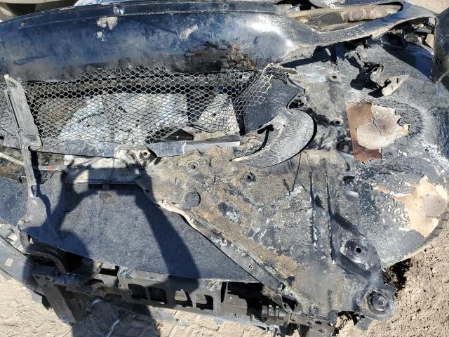 2025 FERRARI PUROSANGUE   