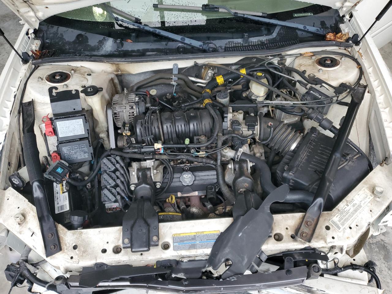 2004 Chevrolet Impala Ls VIN: 2G1WH52K349392765 Lot: 85139245