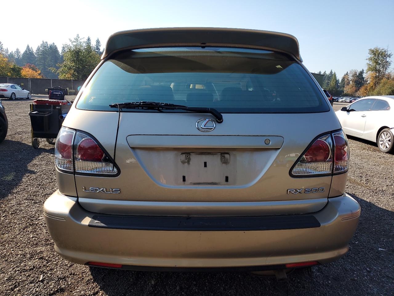 2002 Lexus Rx 300 VIN: JTJHF10UX20267589 Lot: 81890385