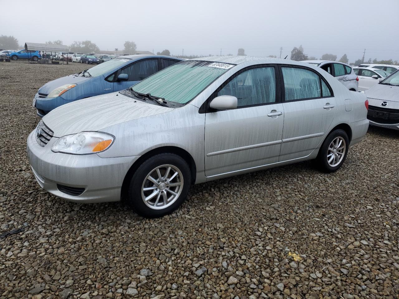 2004 Toyota Corolla Ce VIN: JTDBR32E542044384 Lot: 82448815