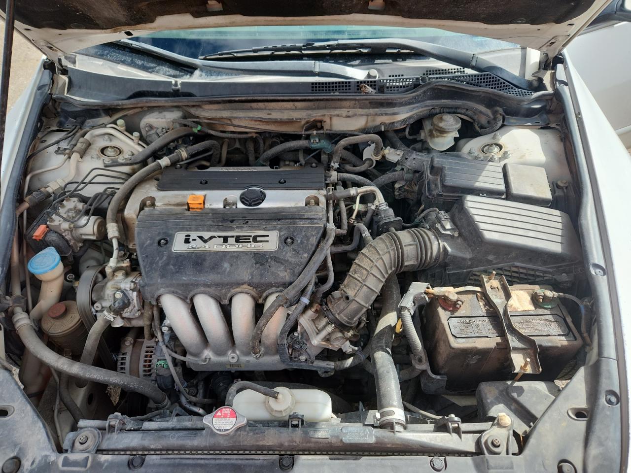 2007 Honda Accord Se VIN: 1HGCM56387A120389 Lot: 86315495