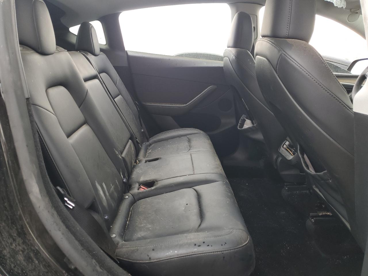 2025 Tesla Model Y VIN: 7SAYGDEE5SF264882 Lot: 86113415