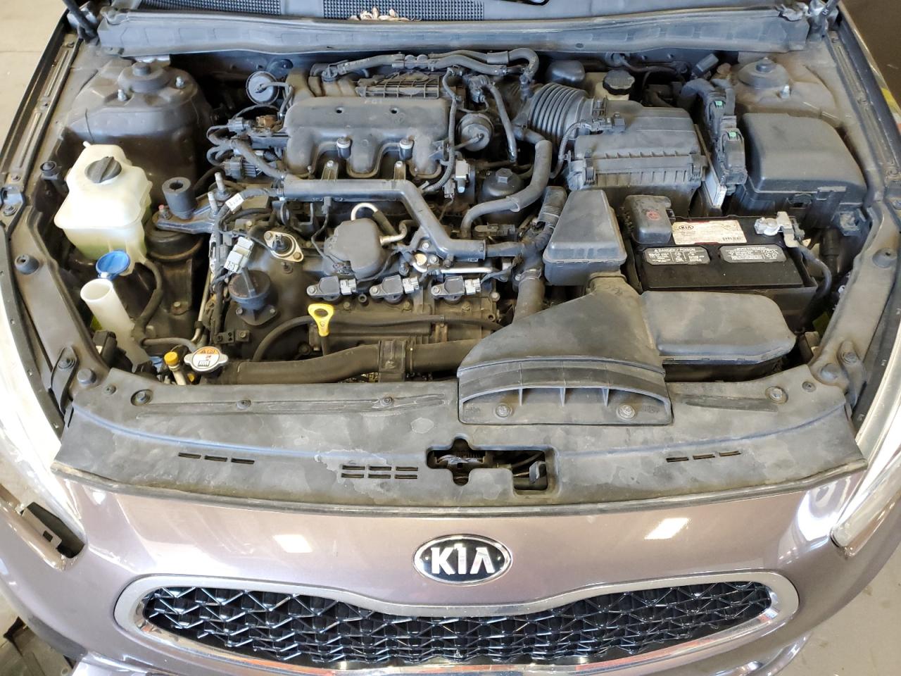 2014 Kia Cadenza Premium VIN: KNALN4D72E5130124 Lot: 85766365