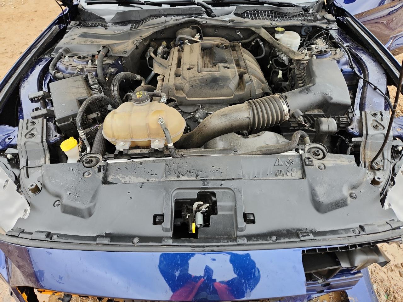 2019 Ford Mustang VIN: 1FATP8UH2K5182061 Lot: 90094995