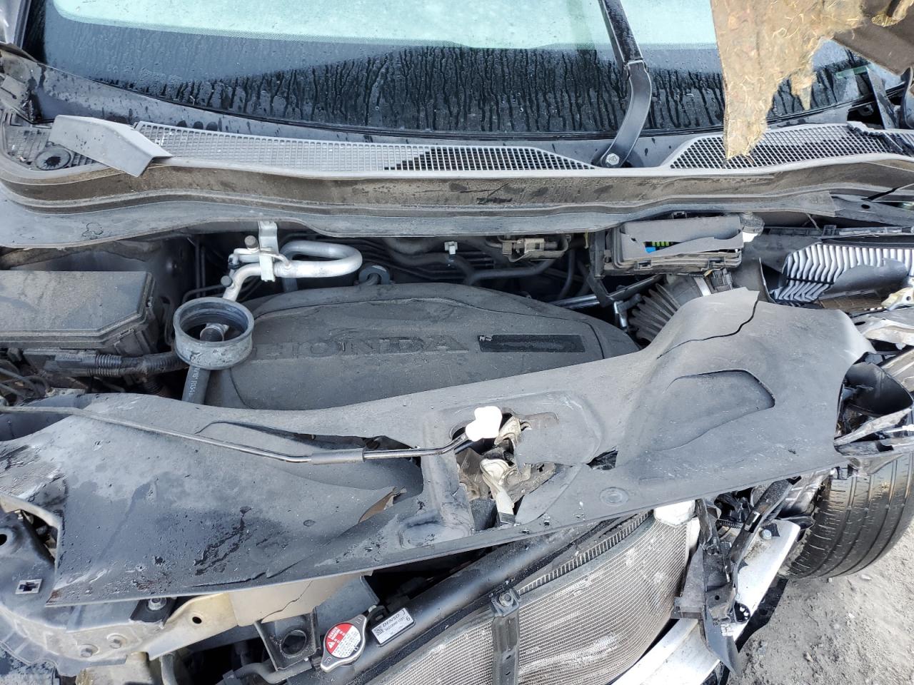 2016 Honda Pilot Exln VIN: 5FNYF5H73GB038009 Lot: 86253735