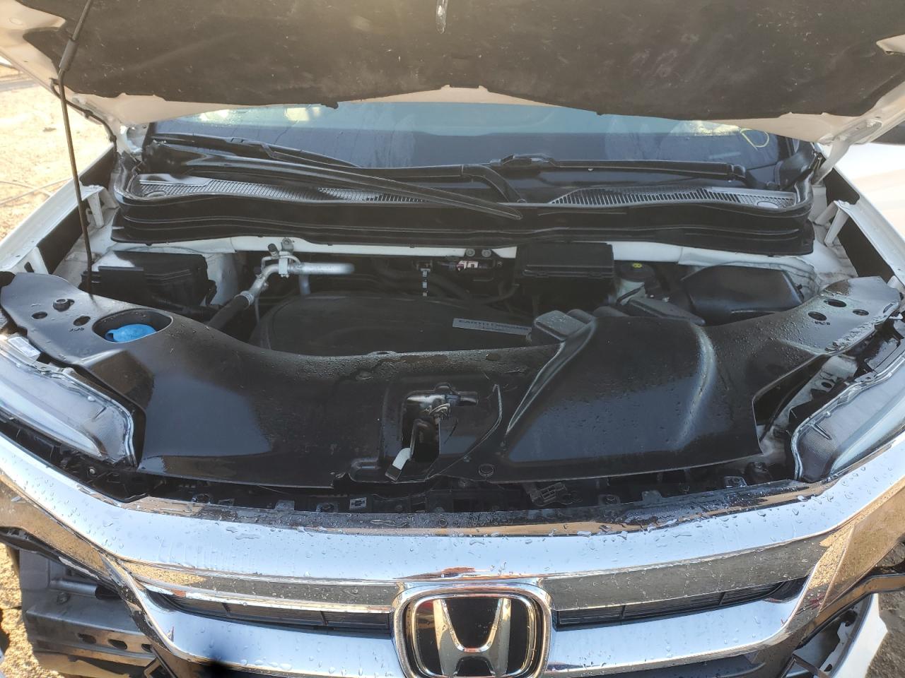 2019 Honda Pilot Exl VIN: 5FNYF6H5XKB080058 Lot: 85880795