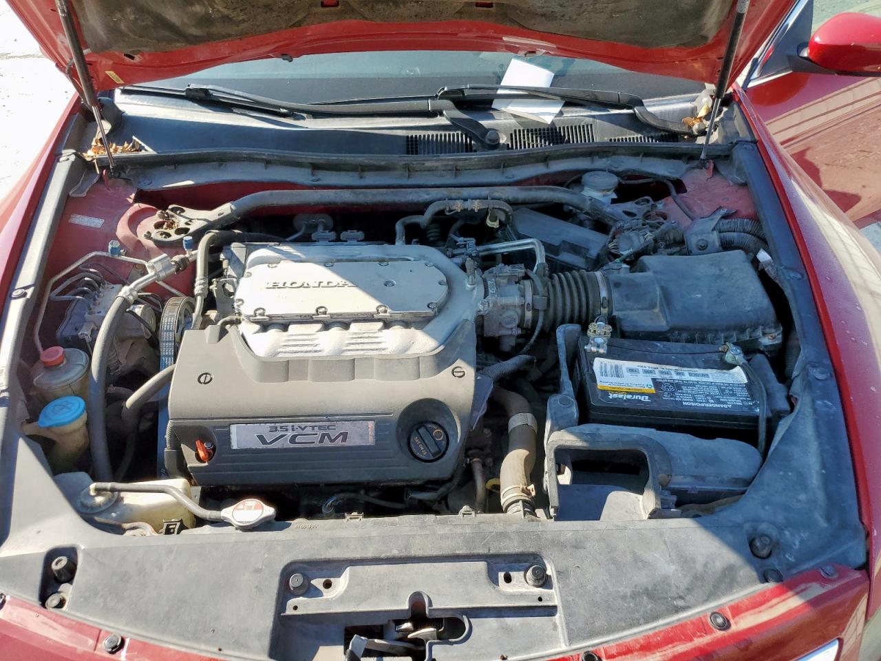 2011 Honda Accord Exl VIN: 1HGCS2B87BA001795 Lot: 84961845