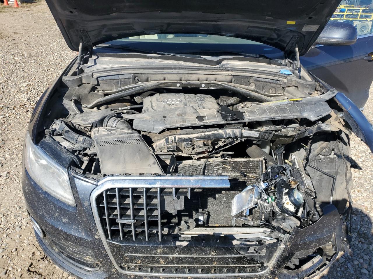 2013 Audi Q5 Premium Plus VIN: WA1LFAFP4DA032479 Lot: 82305225