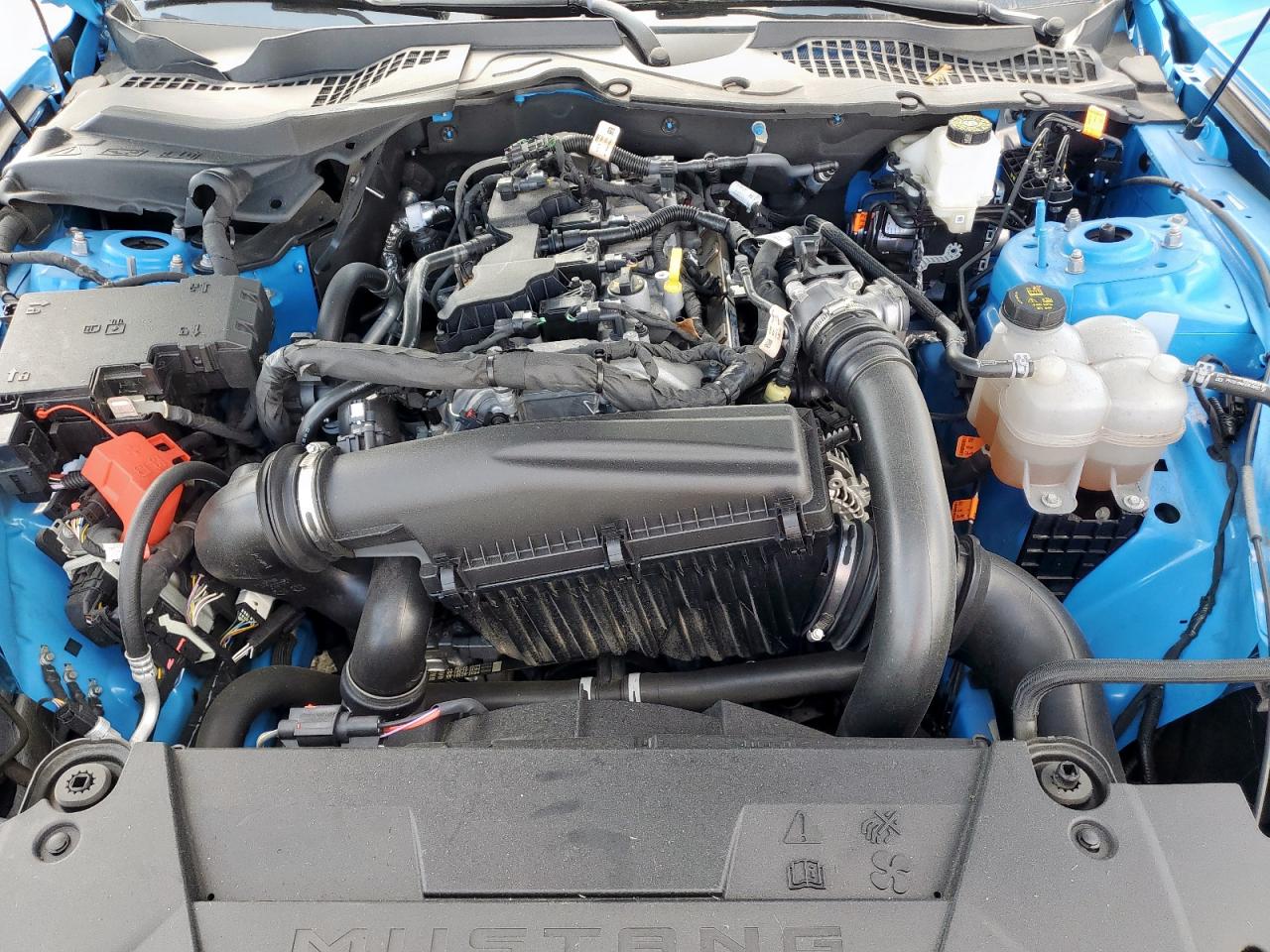 2024 Ford Mustang VIN: 1FA6P8TH8R5134184 Lot: 82249455