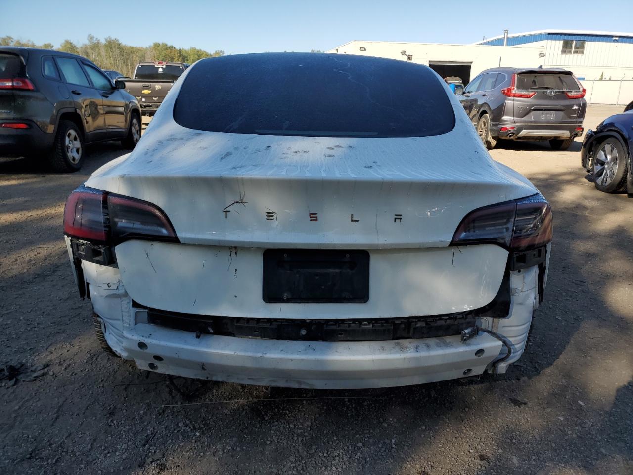 2023 Tesla Model 3 VIN: 5YJ3E1EA5PF480392 Lot: 84415815