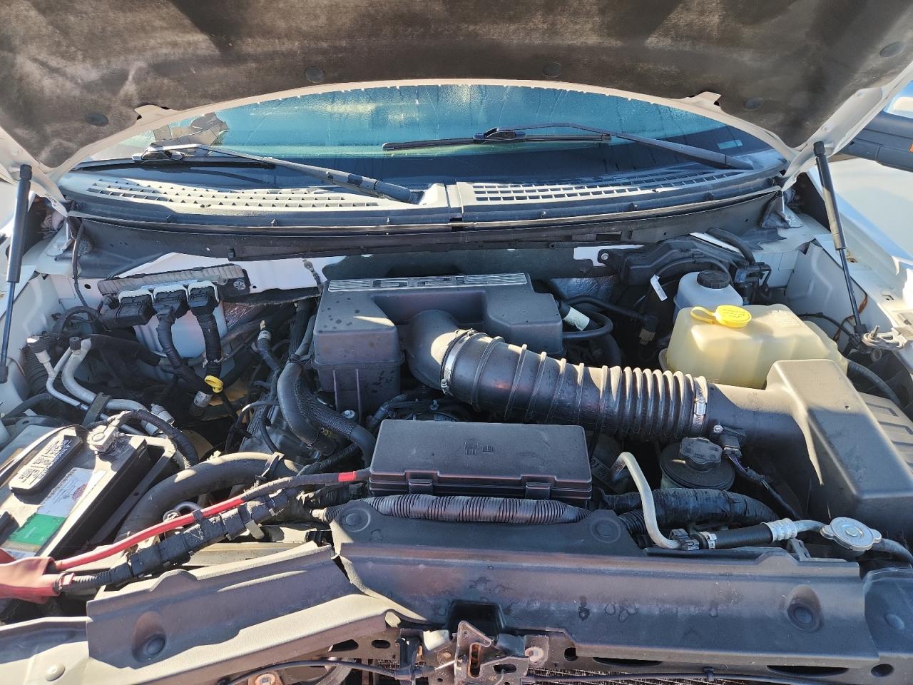 2011 Ford F150 Supercrew VIN: 1FTFW1E69BFB12839 Lot: 90687535