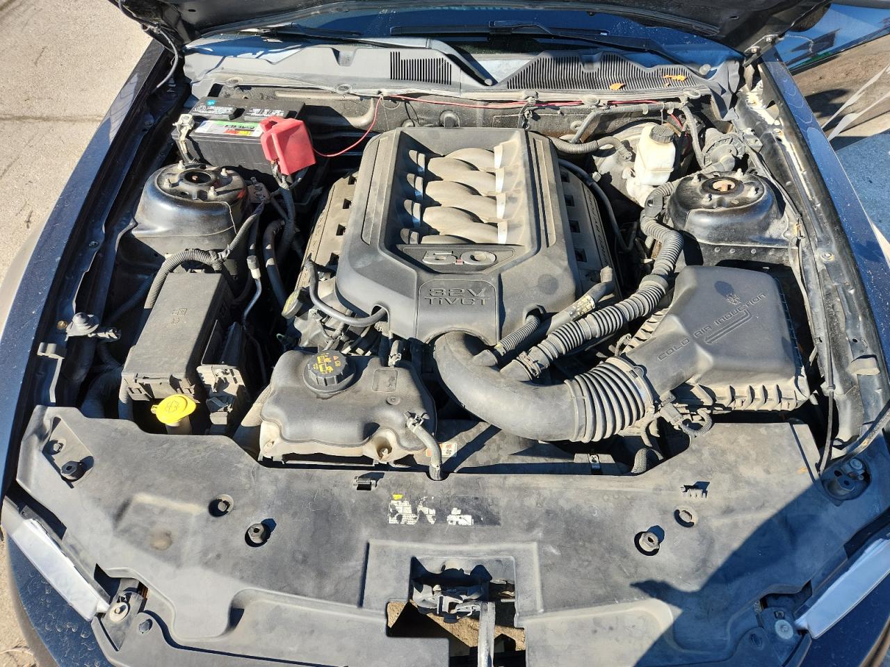 2011 Ford Mustang Gt VIN: 1ZVBP8CF7B5168224 Lot: 90774745