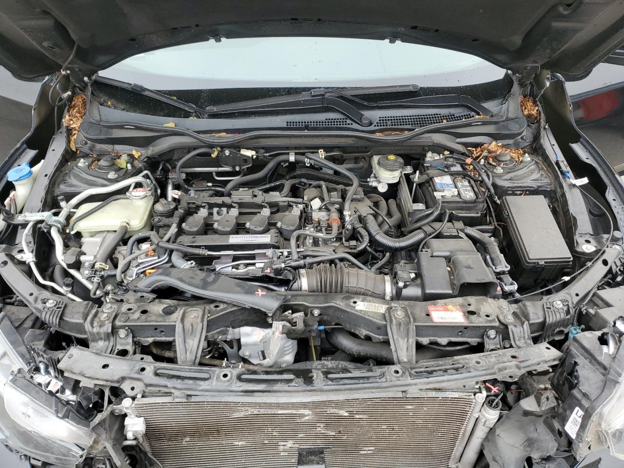 2018 Honda Civic Lx VIN: SHHFK7H26JU429700 Lot: 82352885