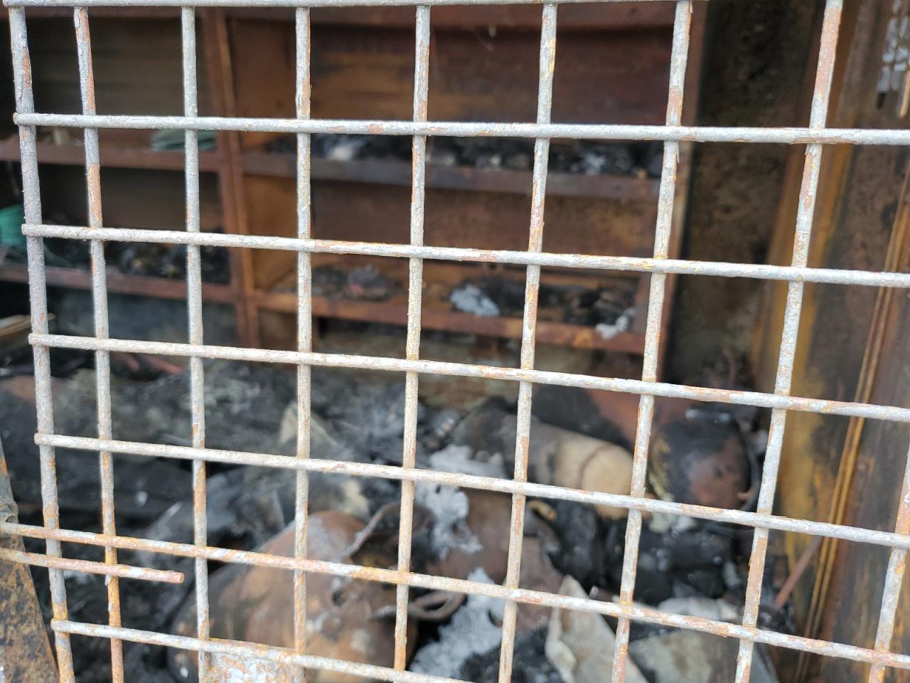 2020 Chevrolet Express G2500 VIN: 1GCWGAFP8L1254196 Lot: 84562025