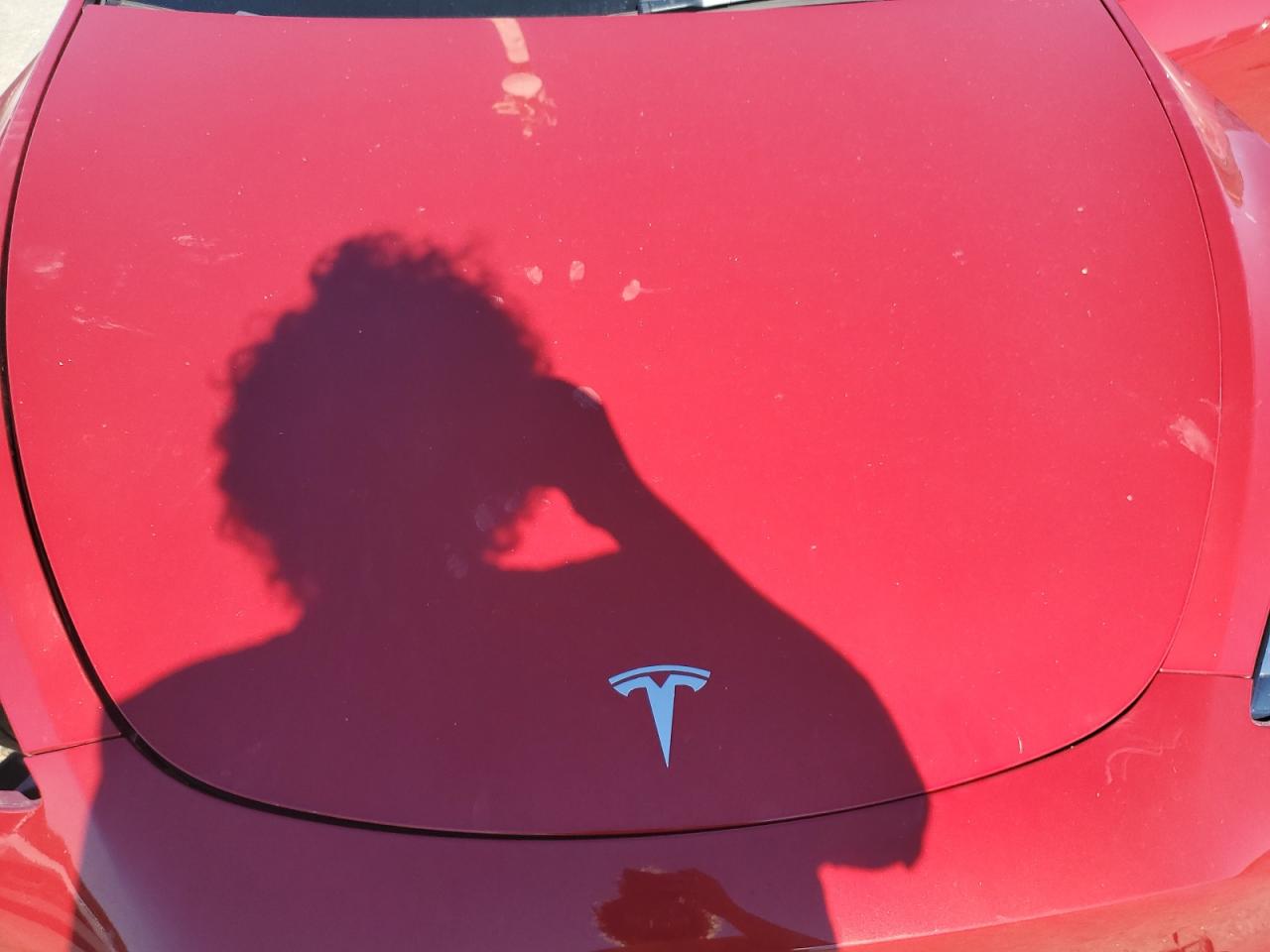 2023 Tesla Model Y VIN: 7SAYGDEE7PA147812 Lot: 86820475