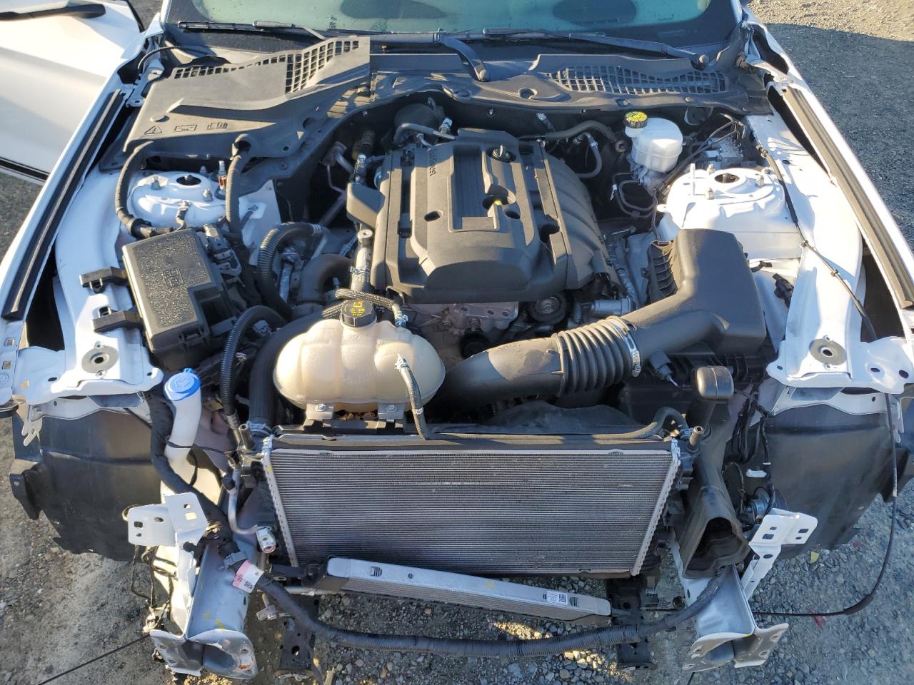 2020 Ford Mustang VIN: 1FA6P8TH1L5186845 Lot: 82209565