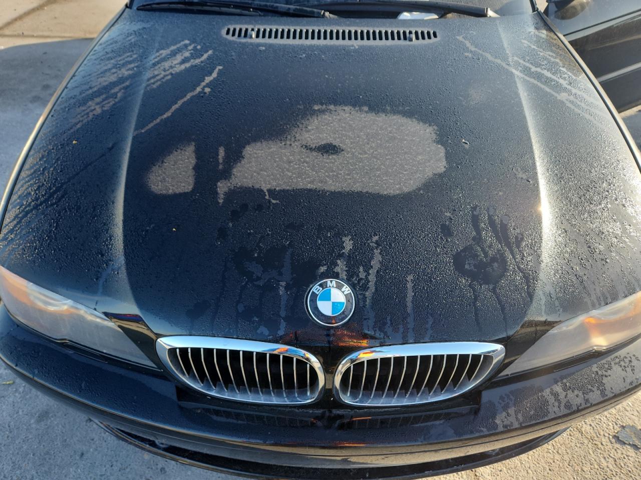 2004 BMW 330 Ci VIN: WBABW53434PL47903 Lot: 85602355
