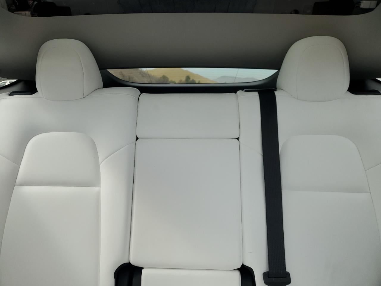 2022 Tesla Model Y VIN: 7SAYGAEEXNF402192 Lot: 82283335