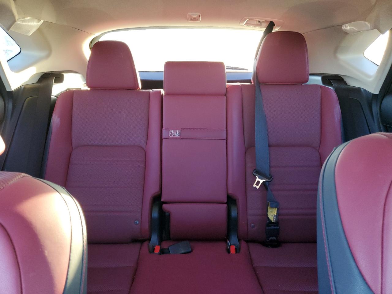 2020 Lexus Nx 300H VIN: JTJGJRDZ3L5010258 Lot: 85591925