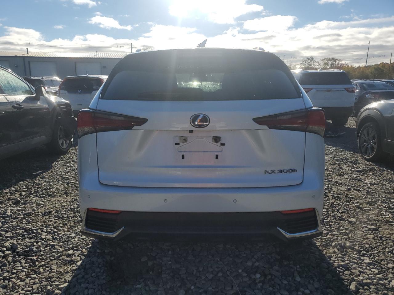 2021 Lexus Nx 300H Base VIN: JTJDJRDZ9M5014660 Lot: 87410325